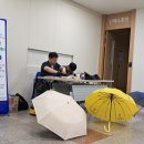 1461 헤럴드경제
