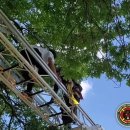 가방위에 고양이 이미지