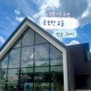일산 신혼가구 내돈내산구매후기 [로포텐 쇼룸] 커들리식탁 로망서랍장 + 쇼룸구매할인