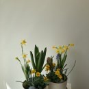 가드닝과 정원만들기 이미지