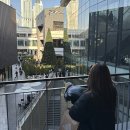 효민약국 | 일상블로그 214