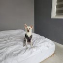 서린춘천 이미지