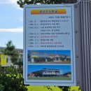 새마을웰빙빈대떡 | 제주올레길 1코스 후기 : 제주 올레의 시작 | 제주도한달살기 DAY 28