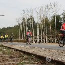 남한강자전거길 8 이미지