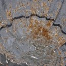 각평낚시터 이미지