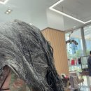 창원중동미용실 이루다헤어 어반브릭스점에서 톤다운 전체블랙염색으로 엔젤링 장착한 후기