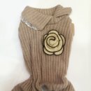 굿모닝퍼피 이미지