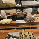 브루니컴퍼니 | 🇫🇷파리 요약본✈️🤍