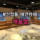 개꿀잼 애견카페 이미지