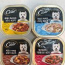 메주 | 강아지 습식사료 추천 시저 캔 필렛 인 그레이비 4가지 맛 토리 메주 기호성 후기