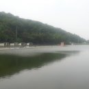 지곡지 | 2015.06.09 - 지곡지 다녀왔습니다. 1박 2일 좌대 낚시.... 지극히 주관적임 / 히로시로파파 낚시이야기