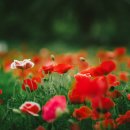 관상과 심상 이미지