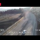 반계매점세차장 | [원주] 반계리 은행나무 꿀팁 실시간 사진 CCTV 주차 가을 여행