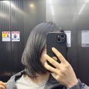 성수 뚝섬역 미용실 레이어드컷트 플러스 모발클리닉 토니앤가이 민영