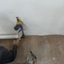 수원종로약국 이미지