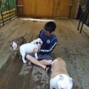 하늘채 펜션 이미지