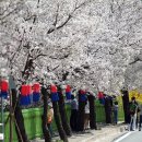 청풍면사무소 앞 이미지