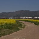 황산공원(황산B) Daum카페