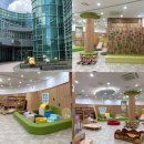 비자숲 | 제주 아이와 함께 갈만한곳 비자숲힐링센터 아랑이놀이터 이용 후기