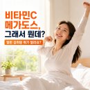 더도스어도스 | 비타민C 메가도스, 진짜 효과 있었을까? 일반 섭취와 다른 점부터 부작용까지 제가 직접 겪어본 후기