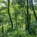 만월쉼터 이미지