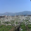 벌교펜션민박 이미지