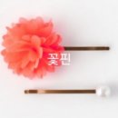 살구꽃핀마을은 이미지