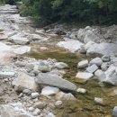 1173 | 1173)번암산 (강원 화천군) [오지산행]