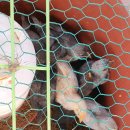 채열농장 이미지