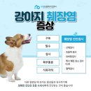 신동동물병원 이미지