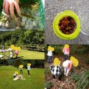 초리골펜션 이미지