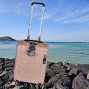 핑크PC | 20인치 기내용 미피 캐리어 핑크 내돈내산 후기 추천 이유까지