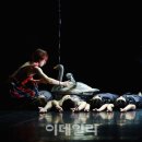 서커스 이미지