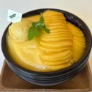 그레이동물병원 강남점 이미지