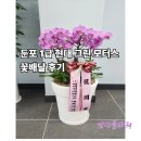 그린모터스 | 둔포면 1급현대그린모터스 개업축하 호접난 배달