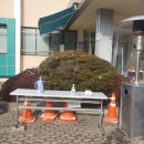 대전광역시대덕구보건소 이미지