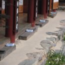선학정 Daum카페