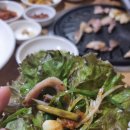 연일뒷통