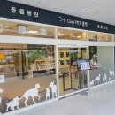 쿨펫 동물병원 이마트 금정점 이미지