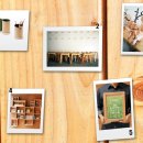 소통하는 나무 이미지