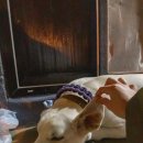 파라다이스여관 이미지