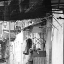 처연의 소리 이미지