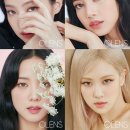 오렌즈 네이버블로그