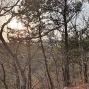 녹차밭약수터 티스토리