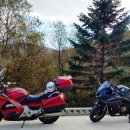 유명산주유소 이미지