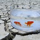 예당낚시터 이미지