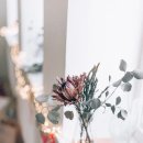 도시의 아침 이미지