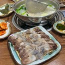 맛기행사계절 | 서울 새조개샤브샤브 당산 맛집 맛기행사계절 당산점