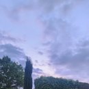 역사와 함께하는 미술여행 이미지