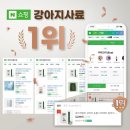 김성일농장 | 네이처알로: ‘밀웜 단백질+쑥부쟁이’, 저알러지 식단
